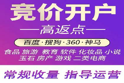 竞价排名中关键词出价策略的案例探讨